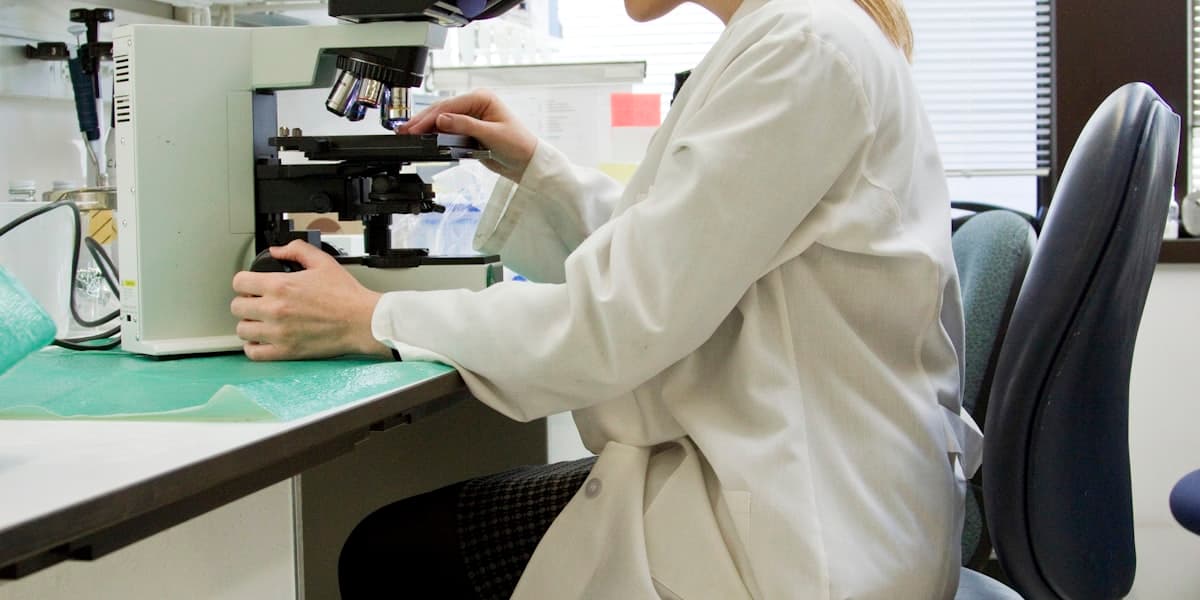 Investigación y academia